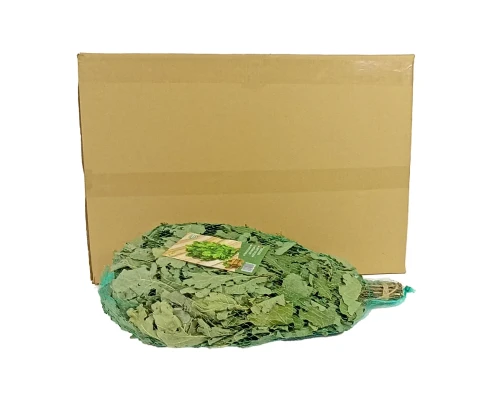 Eichenbesen aus Blättern der Kanadischen Eiche für Sauna und Spa ( 1 Packung – 10 Stück) - kaufen in Deutschland | Bonpos