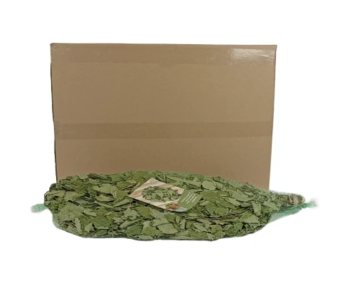 Lindenbesen für Sauna und Spa ( 1 Packung – 10 Stück) - kaufen in Deutschland | Bonpos