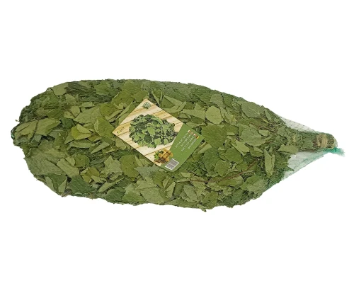 Lindenbesen für Sauna und Spa ( 1 Packung – 10 Stück) - kaufen in Deutschland | Bonpos