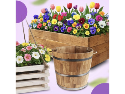 Blumentöpfe: So finden Sie in dieser Saison das perfekte Zuhause für Ihre Pflanzen