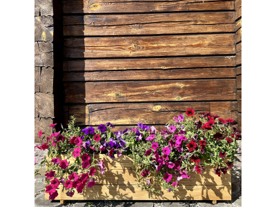 Hängender Garten auf dem Balkon: Ideen für kleine Räume
