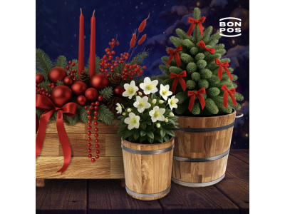 Weihnachtsgeschenke aus Holz: Ideen, die eine warme und behagliche Atmosphäre schaffen.